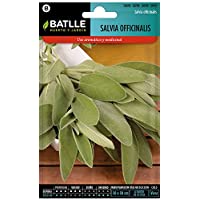 Semillas Aromáticas - Salvia officinalis - Batlle